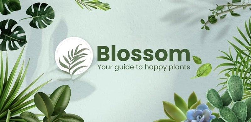 blossom-1-1