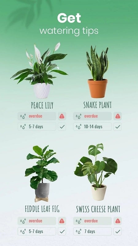 Blossom mod android