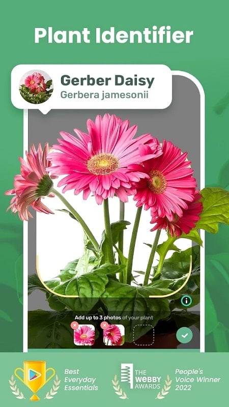 Blossom mod