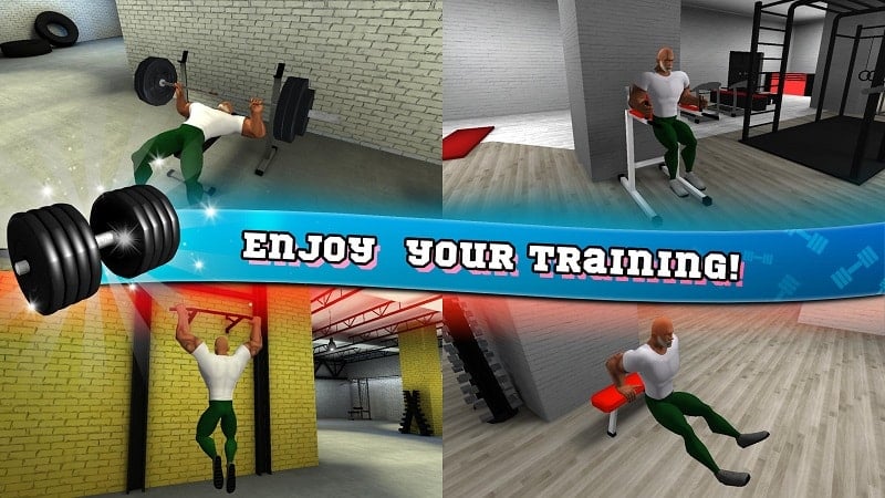 fitness-gym-mod Fitness Gym mod