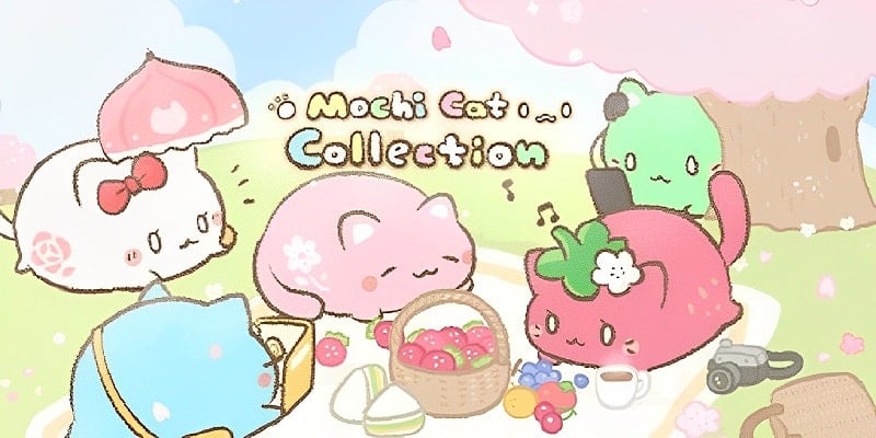mochicats-collection-1