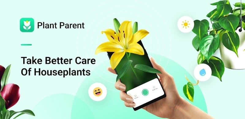 plant-parent-1-1