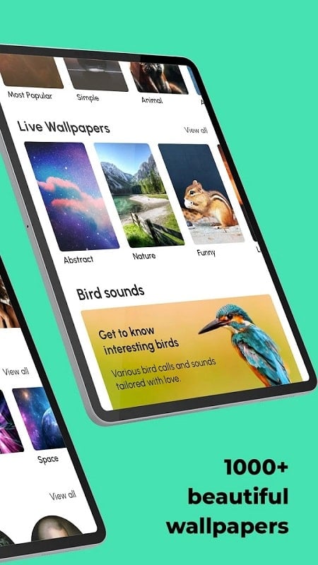 ringtones-for-android-mod-apk Ringtones for Android mod apk