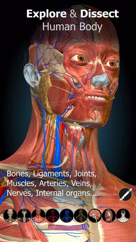 anatomy-learning-mod-apk-1 Khám phá mô hình từng bộ phận trên cơ thể con người trong Anatomy Learning MOD APK