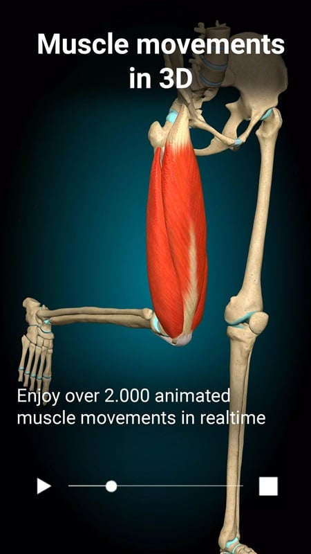 anatomy-learning-mod-apk-2 Theo dõi chuyển động cơ 3D thông qua các video trong Anatomy Learning MOD APK