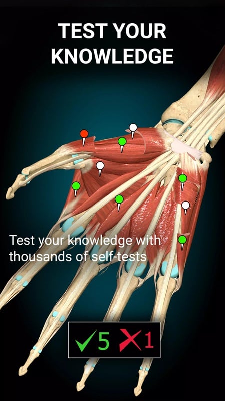anatomy-learning-mod-apk-3 Kiểm tra kiến thức của bạn bằng cách vượt qua các câu đố trong Anatomy Learning MOD APK