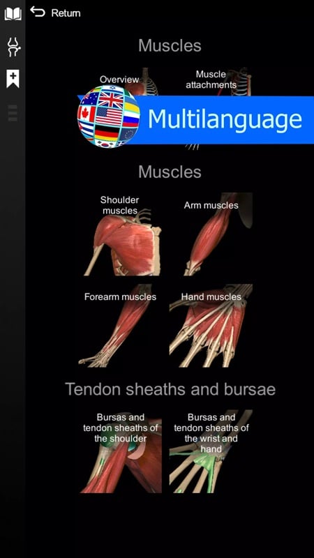 anatomy-learning-mod-apk-5 Đa dạng các loại ngôn ngữ cho bạn lựa chọn trong Anatomy Learning MOD APK