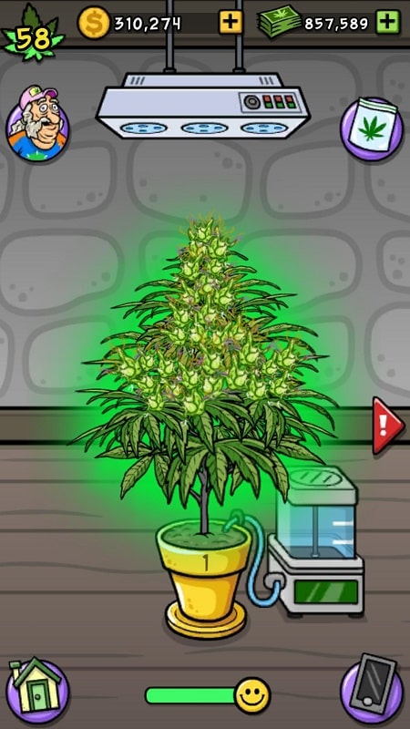 Bud Farm mod