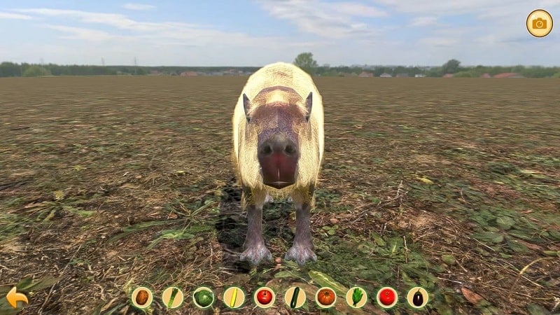 capybara-zoo-1