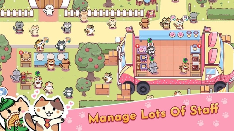 cat-bar-1