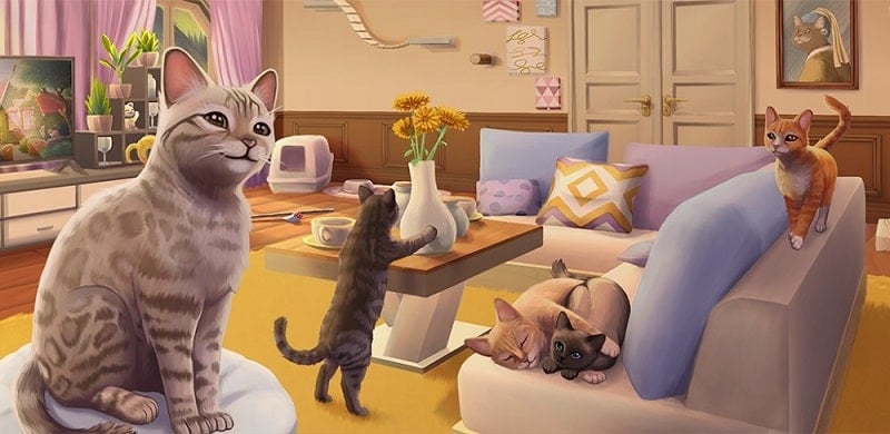 cat-rescue-story-1