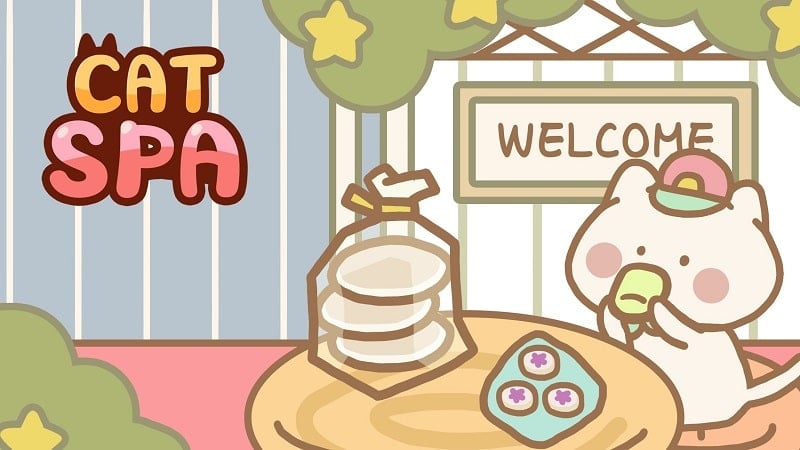 cat-spa-1