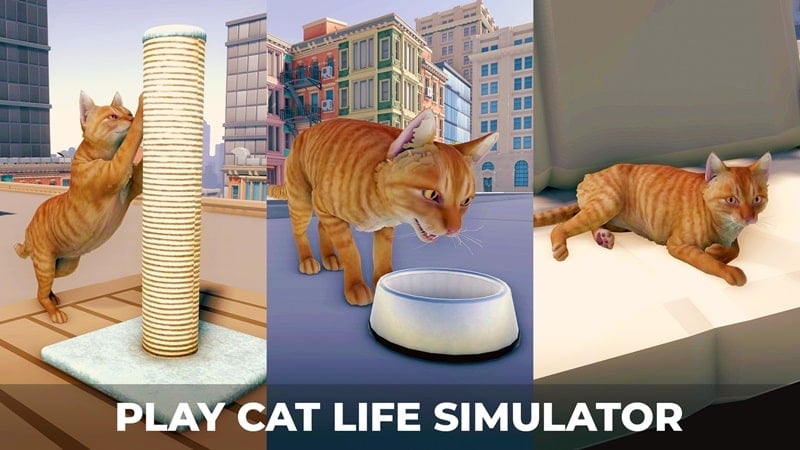cats-metropolis-adventure-mod-apk Cats Metropolis Adventure mod apk