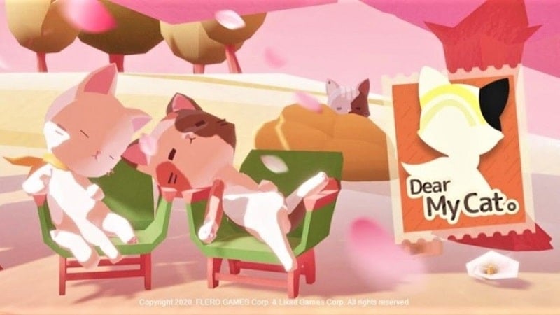 dear-my-cat-1