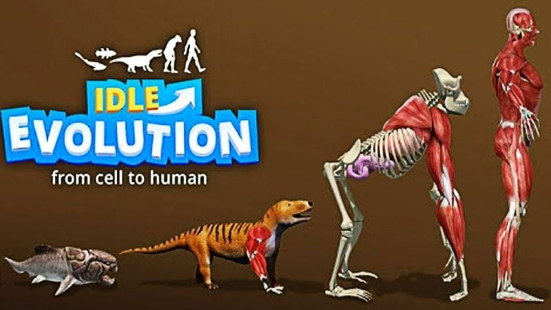 idle-evolution-1