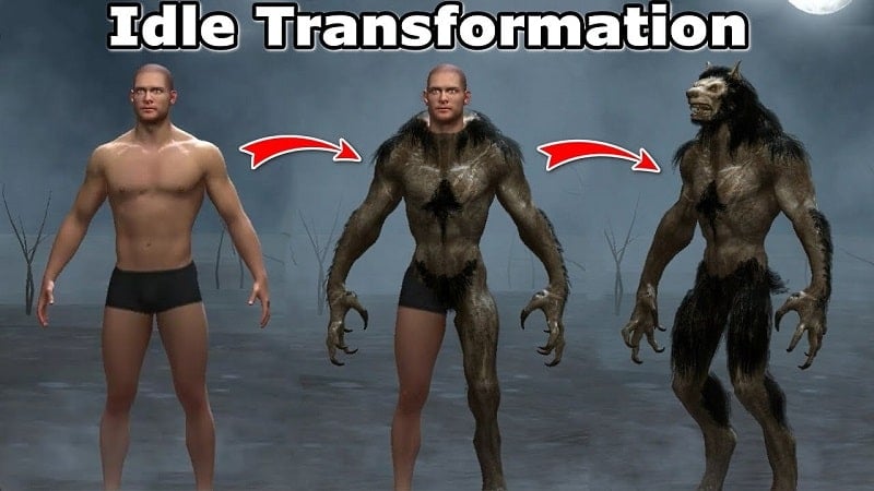 idle-transformation-1