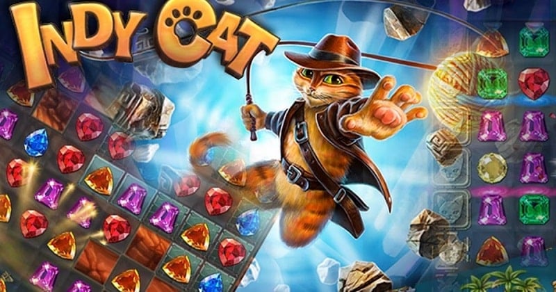 indy-cat-1