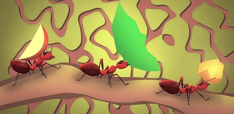 my-ant-farm-1