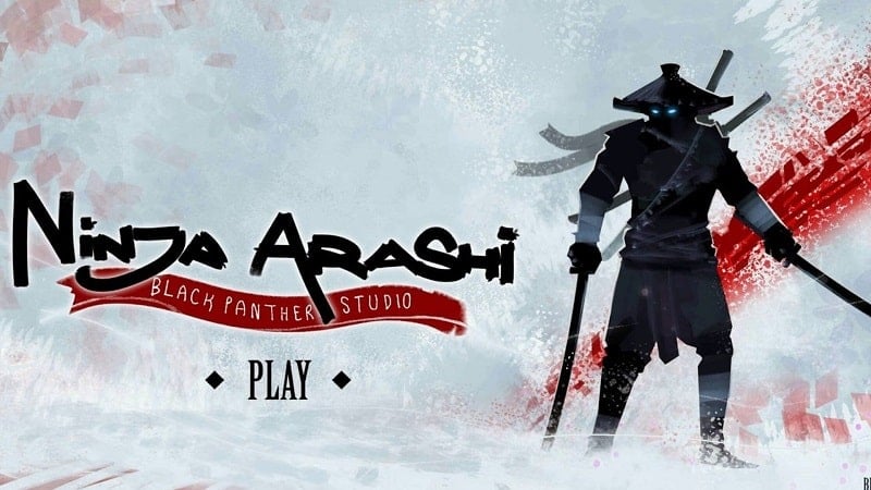 ninja-arashi-1