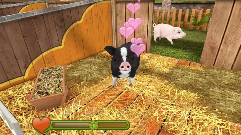pet-world-android Pet World android