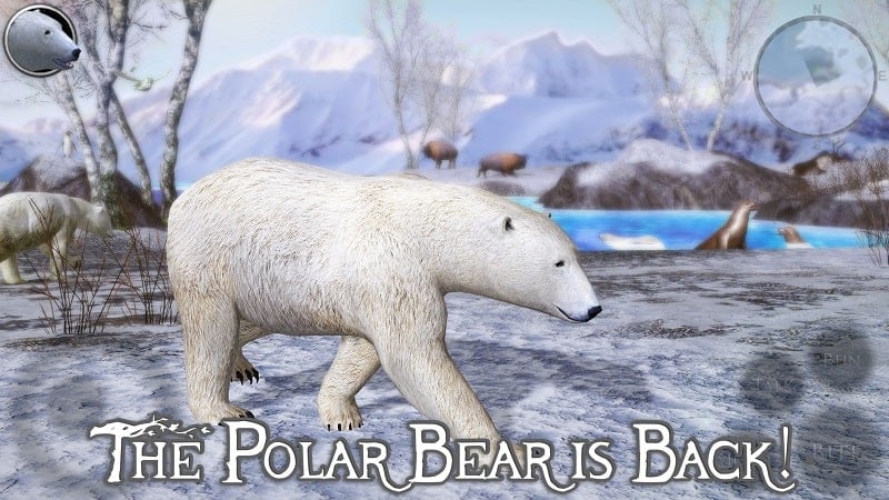 polar-bear-simulator-2-1