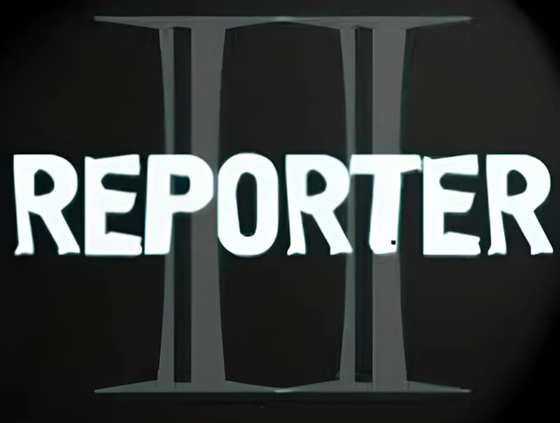 reporter-2-1