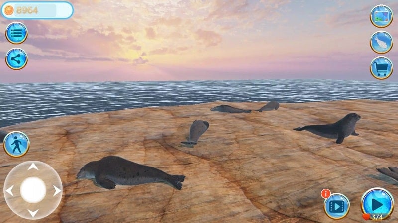 seal-island-apk Seal Island apk