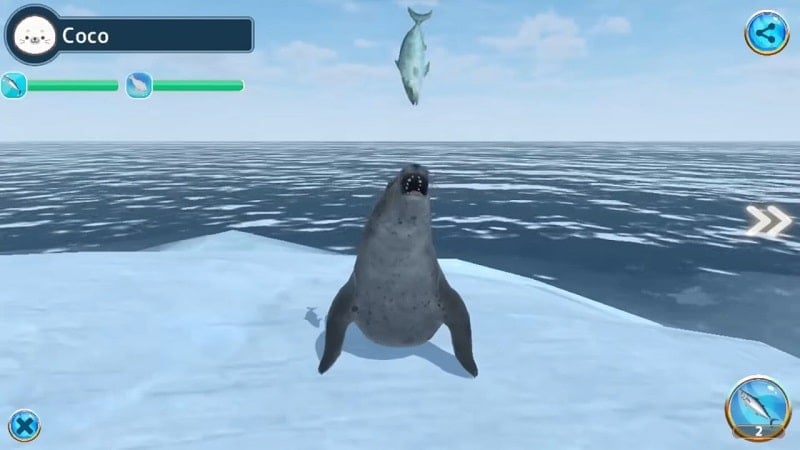 seal-island-mod-apk Seal Island mod apk
