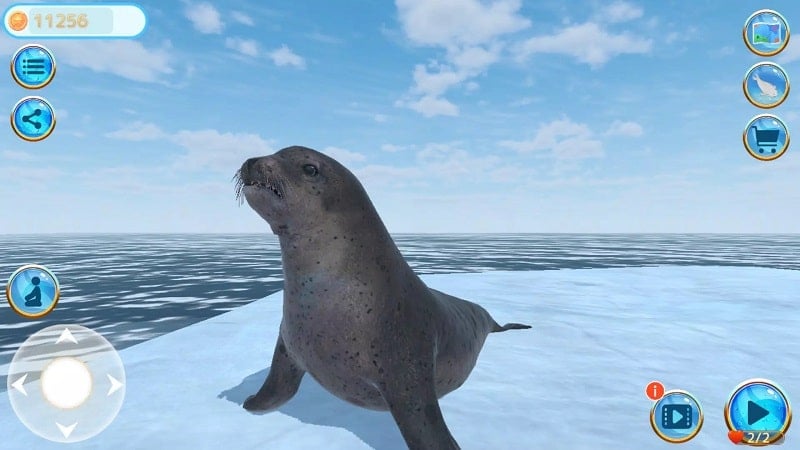 seal-island-mod Seal Island mod