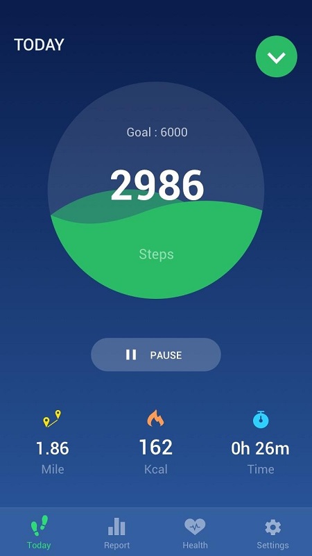Step Counter mod