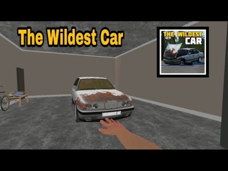 the-wildest-car-1