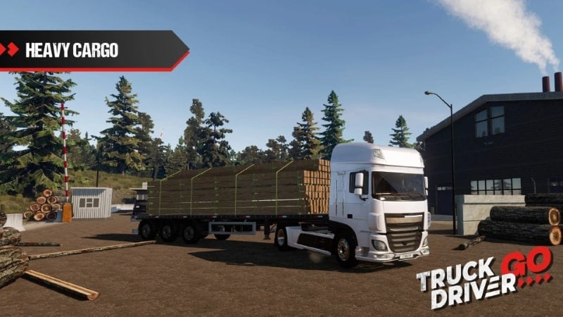 truck-driver-go-mod Truck Driver GO mod