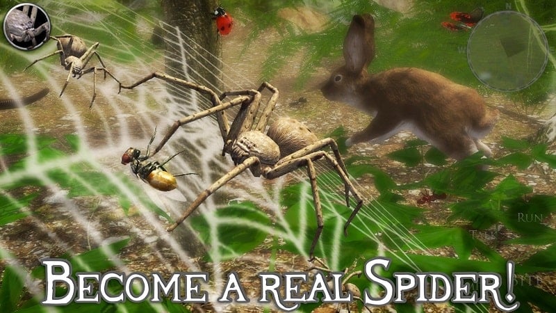ultimate-spider-simulator-2-1