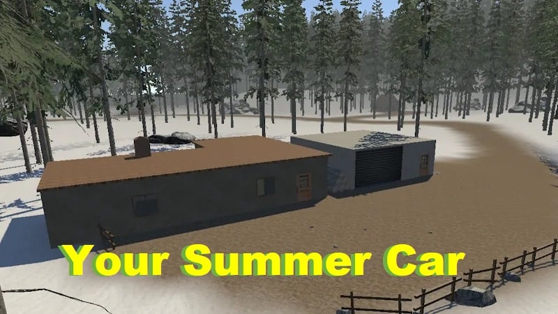 your-summer-car-2-1